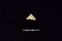 陶片藏品圖，第1張